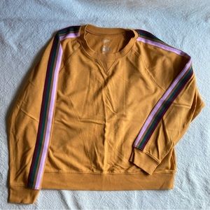 Arizona Retro Stripe Cropped Crew Neck French Terry Lightweight Sweatshirt